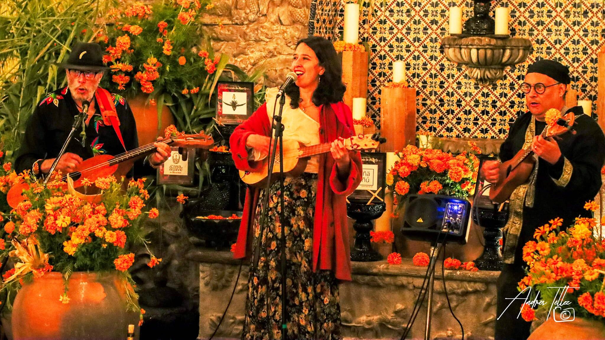 Fusión Colonche 432