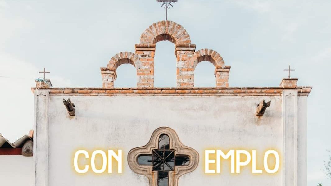 CONTEMPLO @ViñedoDosBúhos