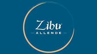 Zibu Allende